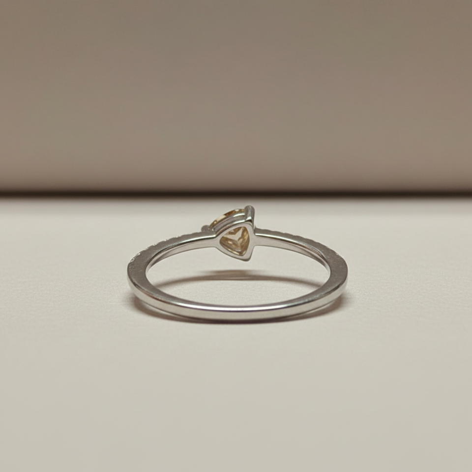 5497fb05-371e-4bf2-82ff-64b0a6945278